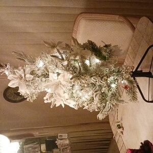 Lighted 3ft Spruce Tree by ValeriParhill/Qvc, plug-in,lightly flocked,,New